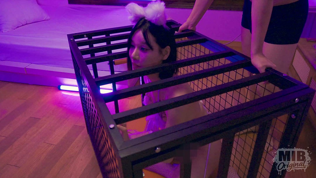 YNS-103 다른 남자에게 빼앗겨버린 내 반려묘